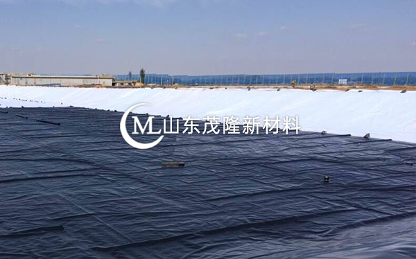 《衡水主城區生態修復工程》土工布、復合土工布施工