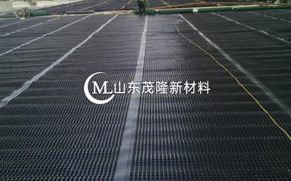 《梅州百匯嘉印項目》排水板施工