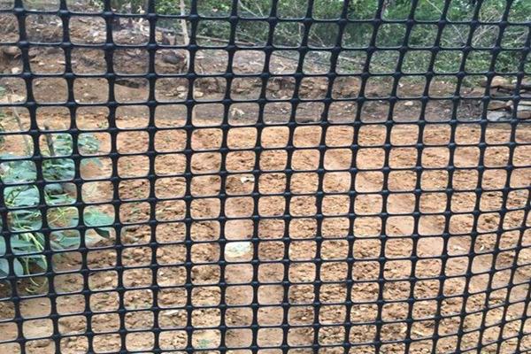 養殖用的土工格柵一般是多少克的？  第2張